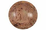 Polished Saharan Desert Jasper Dish - Morocco #326952-1